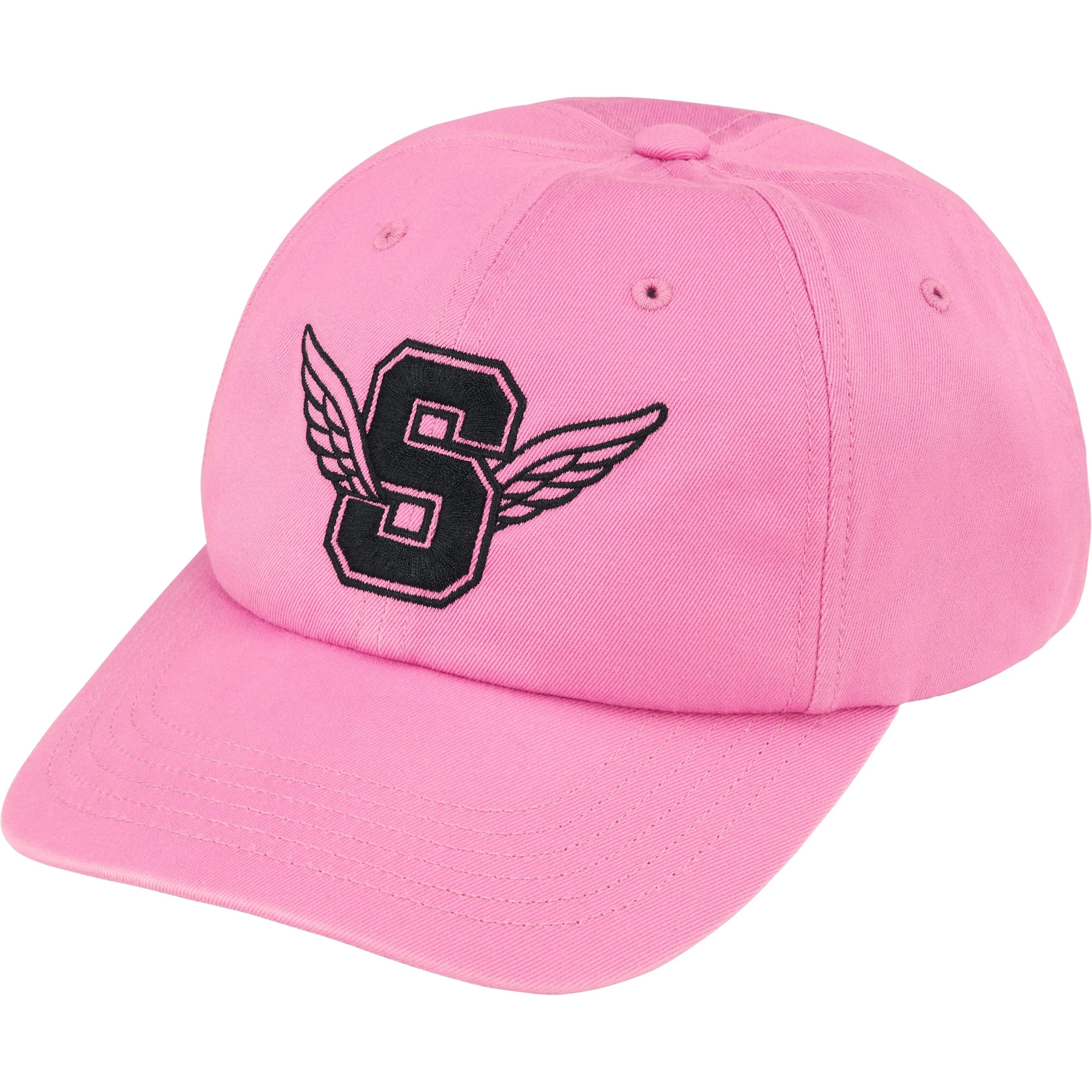 Wings Logo 6-Panel view 6